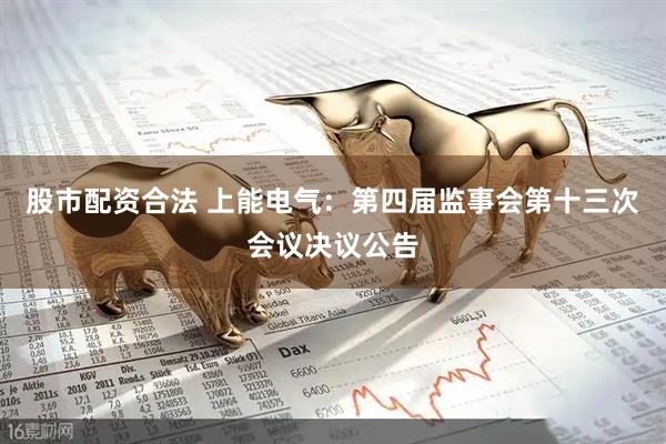 股市配资合法 上能电气：第四届监事会第十三次会议决议公告