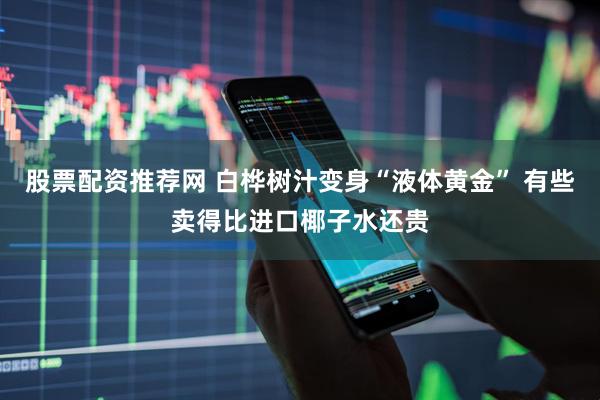 股票配资推荐网 白桦树汁变身“液体黄金” 有些卖得比进口椰子水还贵